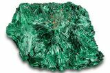 Silky Fibrous Malachite Cluster - DR Congo #294682-1